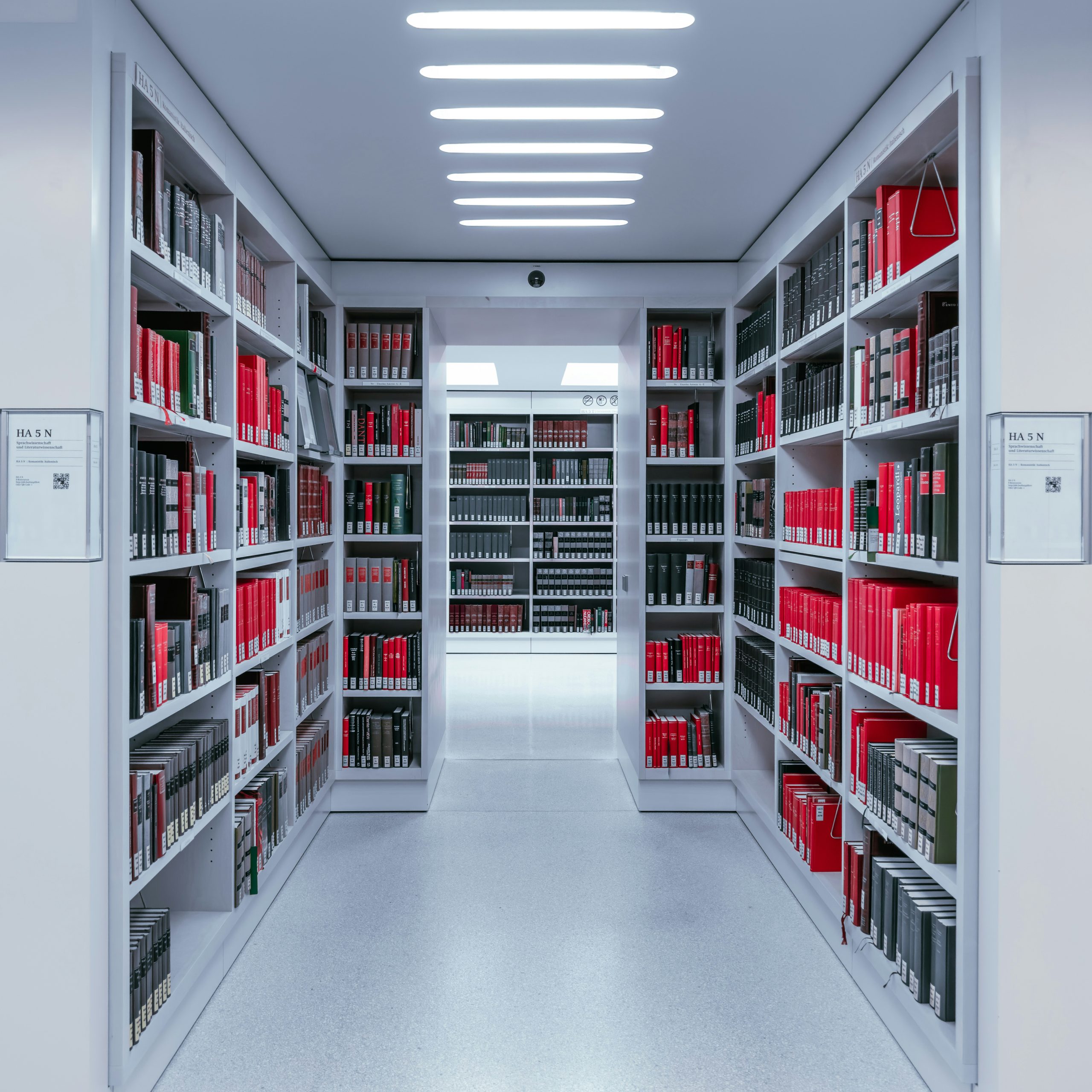 tobias reich o549ae8tnqi unsplash 1.jpg